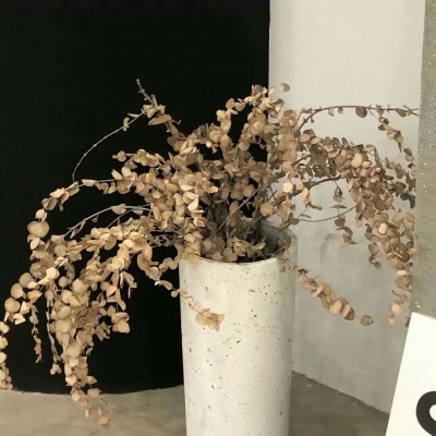 Furry插画构图解析干货FurryQQ群